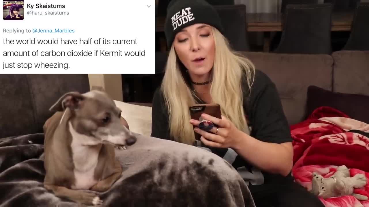 Girl reads nasty comments about her ugly dogs!