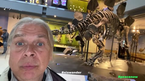 PEACE NOW Video Art Film Project (2024) with Dan 'Nowman' Niswander -Featuring Introduction
