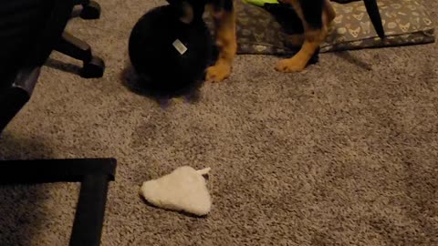 Kai playing with her big ball
