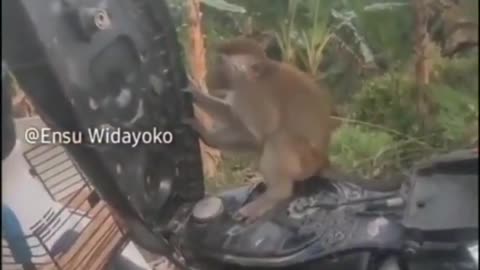 #fun #comedy #funny #dogs #2023 #lol #video #shots #live