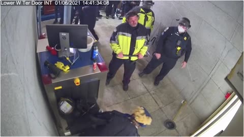 Tunnel Video Of Officers Ambushing Protestors At Capital