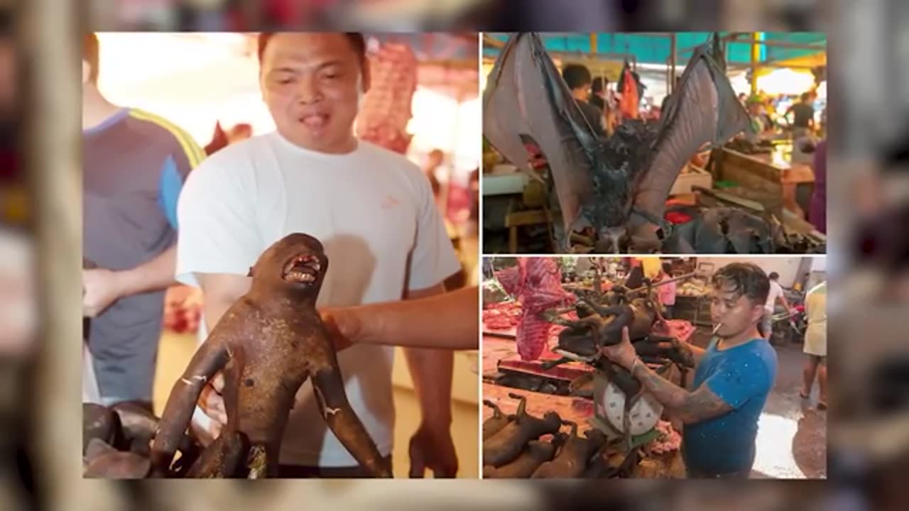 15 Taboos In LAOS And Strange Facts You Won’t Believe Exist! #viral #taboos #videos #usa