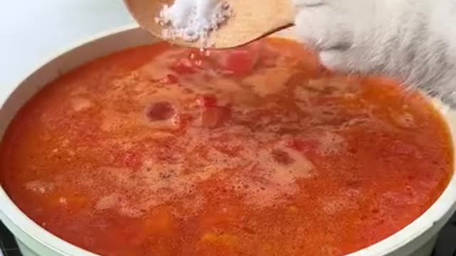 chef cat makes food Satisfying video