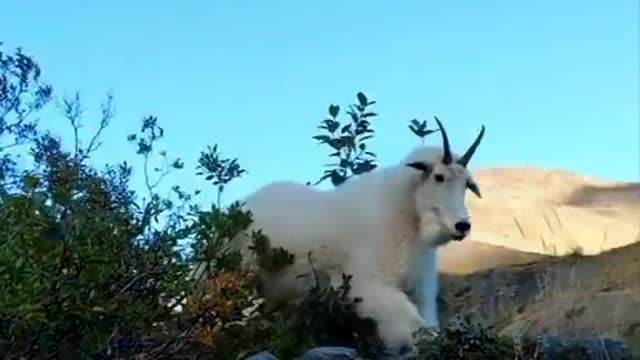 Hey Billy What's up 😂