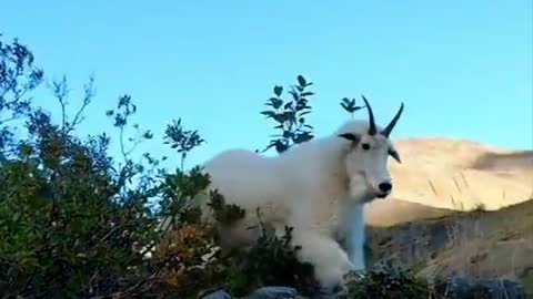 Hey Billy What's up 😂