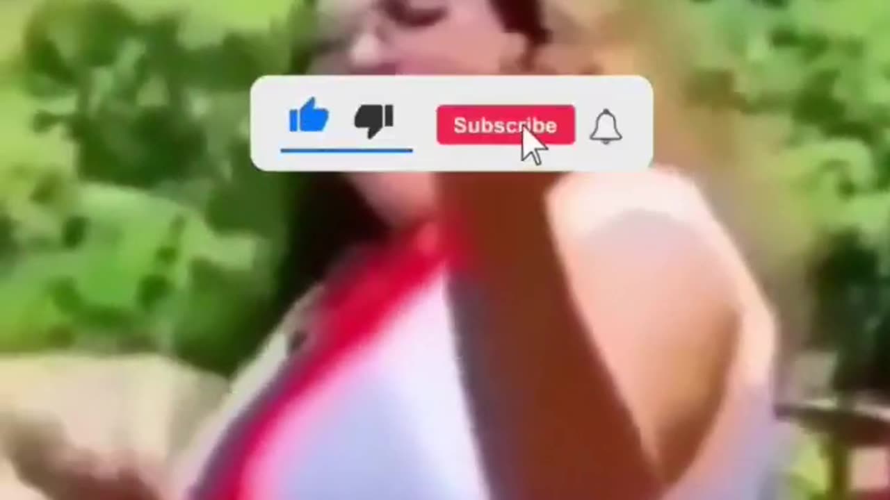 Funny videos