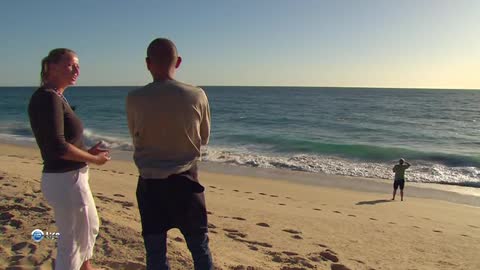 Whale watching from the beach