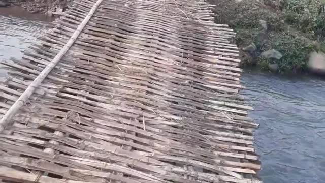 The precarious bridge over the stream of the villagers in my hometown