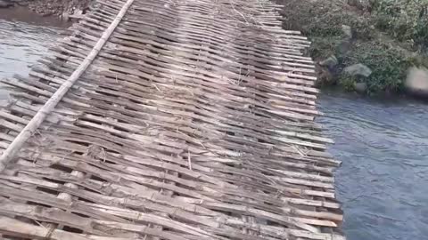 The precarious bridge over the stream of the villagers in my hometown