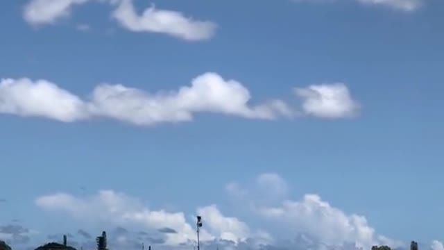 Is this Pagani?