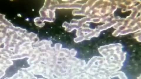 Micro scope view of the jab