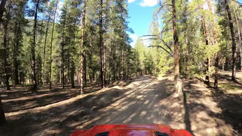 Halfmoon Gulch Start to Creek Crossing Part 1 of 2