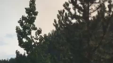 Helicopter Pilot Helping With A Wildfire