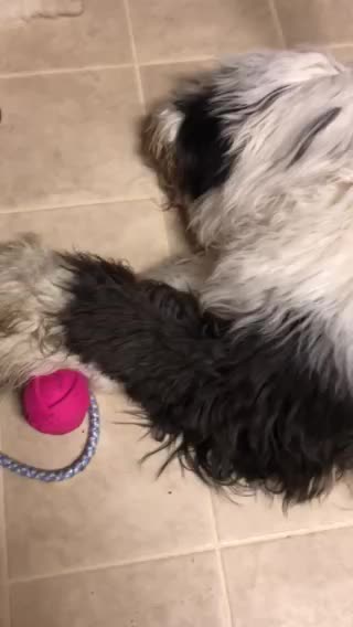 Exhausted after their first day together