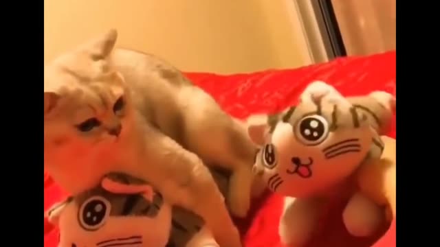 Watch Funniest Animals Compilation (so cute)