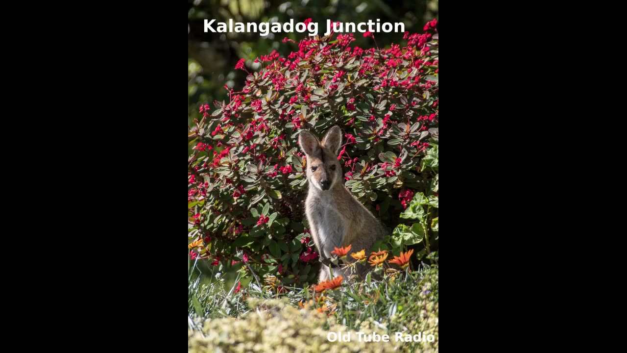 Kalangadog Junction. BBC RADIO DRAMA