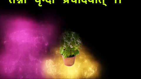 Tulsi Gayatri Mantra