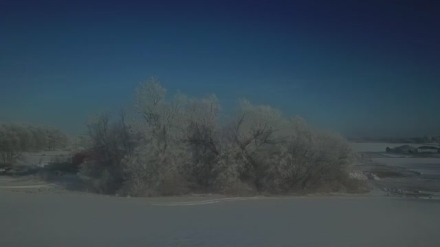 Drone crashes into a tree and flies up and away