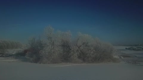 Drone crashes into a tree and flies up and away