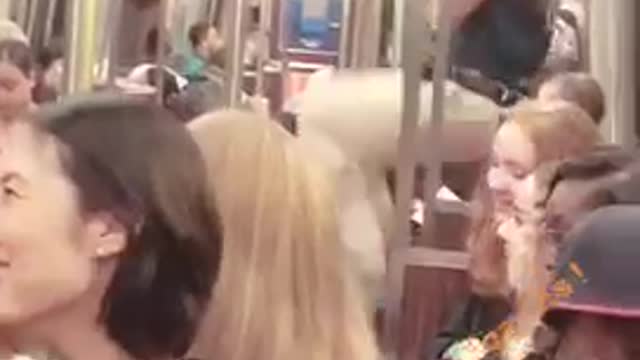 Pony tails man does pull ups on train