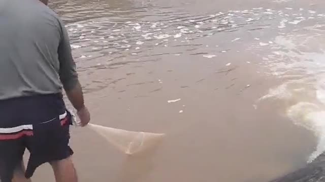 Quem sabe nome deste peixe comenta ai#sejavocĂȘ#