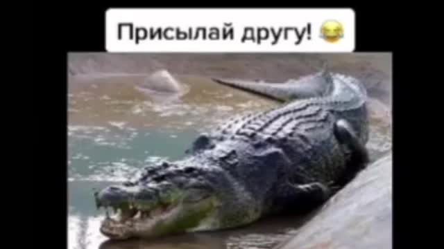 Вспомнил геометрия