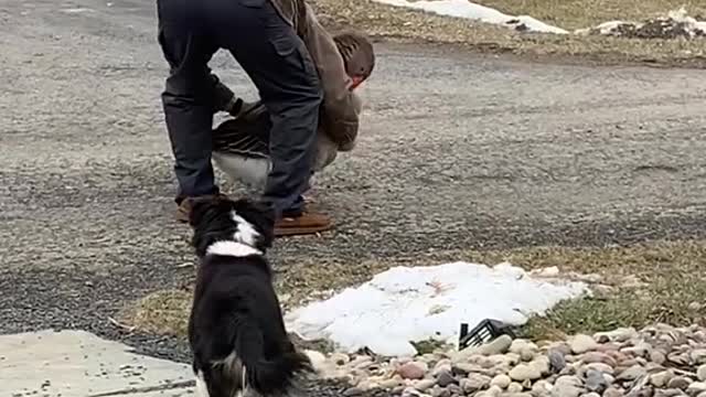 Rescued Goose Isn't Ready for Hugs