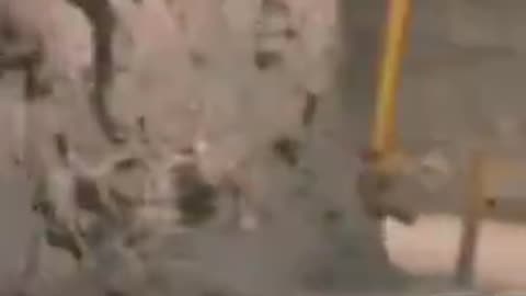 DRIVING THROUGH A DUMB