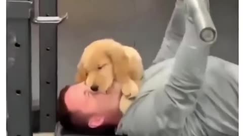Funny Dog Compilation part 01