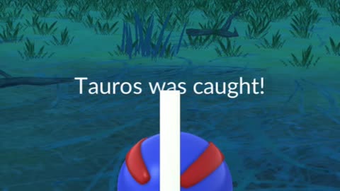 Nufftingz Shorts: Catching A Wild Hundo Tauros