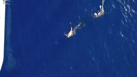 "Terrifying Shark Attack Caught on Camera: A Close Call"