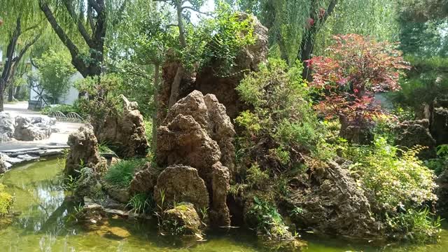 This rockery is so beautiful