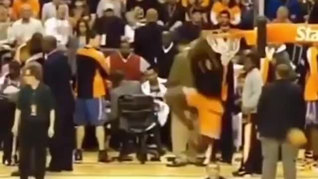 Compilation of Amazing Videos