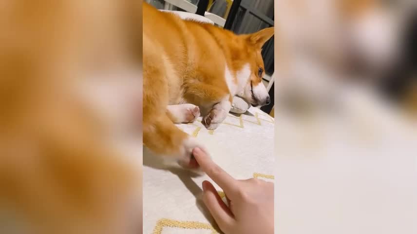 don't tickle me