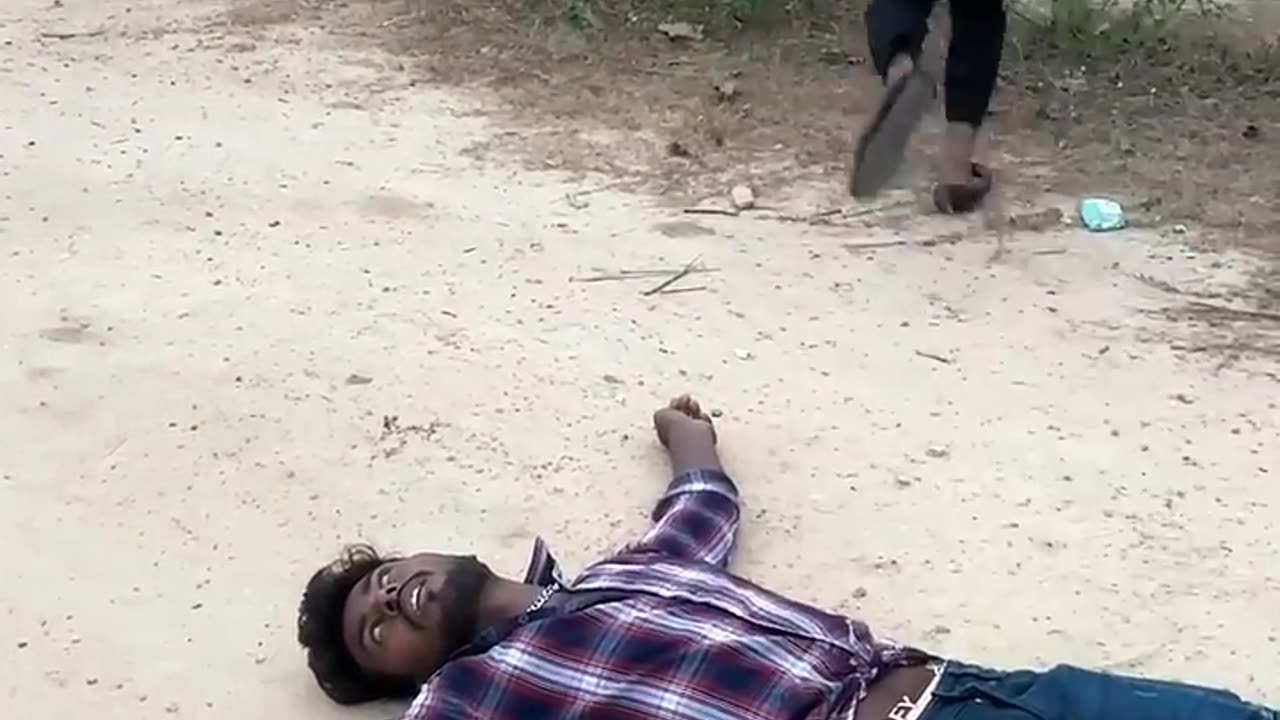 Funny Action Video