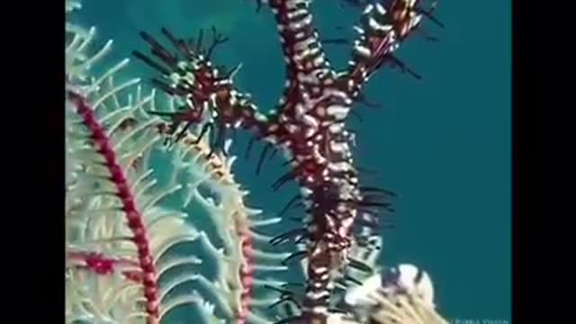 Time with God - June 4