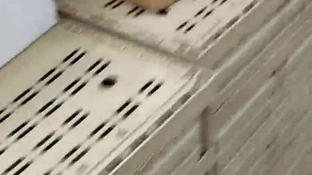 Stamattina 3 dicembre 21, Sonia minacciata da una cassiera in un supermercato perché smascherata