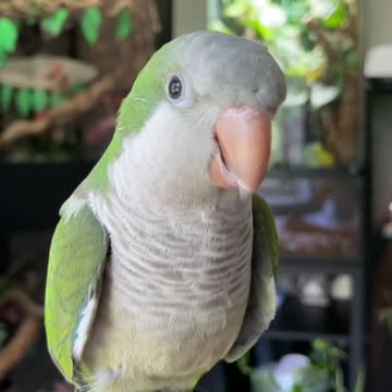 💚me quaker baby💚💚me quaker baby💚