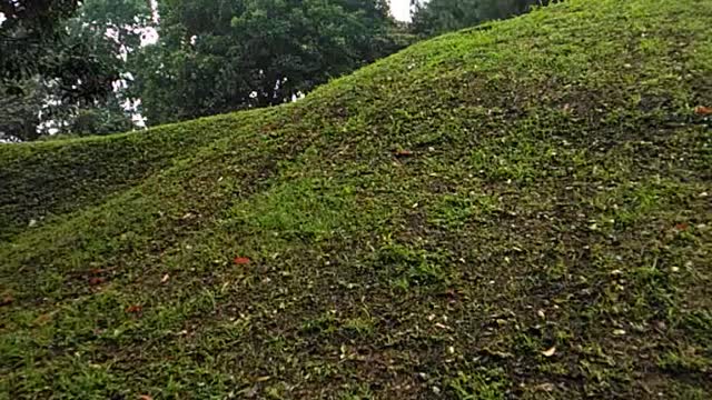 Gunung di tengah kota