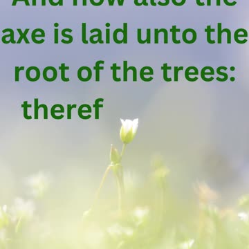 "The Axe at the Root: A Call to Repentance" Matthew 3:10.