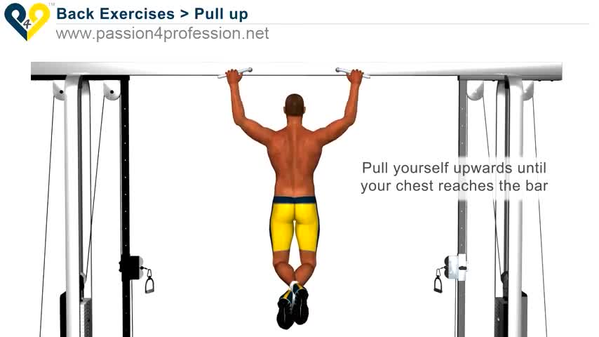 Exercises to gain muscles