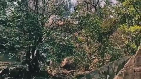 Nature 🌲 Beautiful 😍 short video