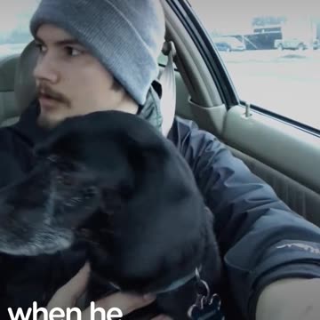 Pizza Guy Rescues Dog During A Delivery | The Dodo