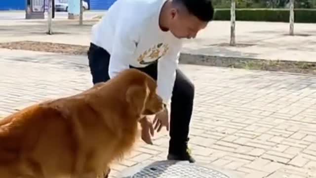 🐕baby dog2021🐶cute dogs🐕 funny dog,🐶dog compilation🐕short video🐶 cute animals videos🐕