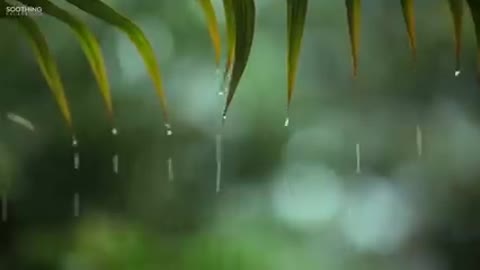 Nature, relaxing sound (Rain + Piano)