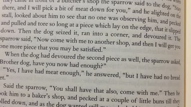 The Dog and the Sparrow