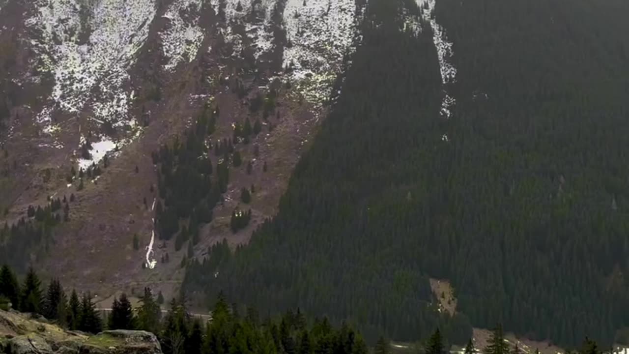 Estoy seguro de que todos queremos libertad geográfica