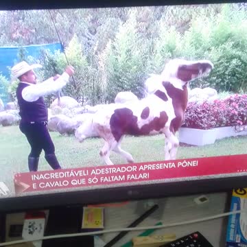 o cavalo branco sendo domado pt2