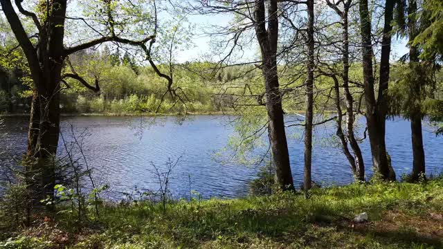 Ilgio ežero pažintinis takas 4K | ILGIO lake 4k nature