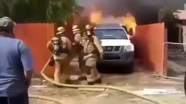 The dog survived the fire